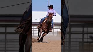 Cowgirl headed to Billings Rope Horse Sale [upl. by Macy]