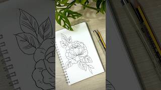 Peony flower drawing rialartist drawing flower [upl. by Petronella]