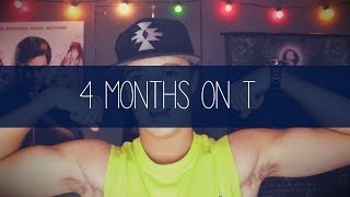 4 Months On Testosterone FTM Update [upl. by Nisa984]