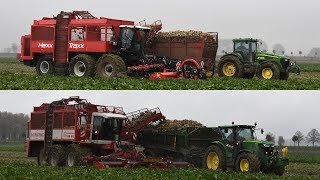 Agrifac Hexx Traxx amp Hexa  Loonbedrijf Van Hal  bieten rooien [upl. by Uria144]