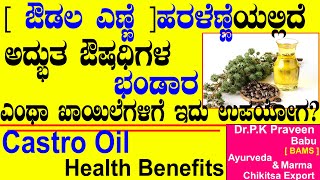 Castor Oil Health Benefits and Side Effects  Ayurveda tips in Kannada Praveen Babu Haralenne uses [upl. by Aala]