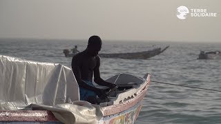 Quand la pêche artisanale préserve la biodiversité [upl. by Showker]