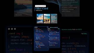 Filter Card Design  Create Filterable Card With Hover Using HTML CSS amp JavaScript  Tutorial [upl. by Carlina]