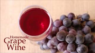 Homemade Grape Wine with fresh Grapes  Christmas Special Grape Wine Recipe [upl. by Irv]