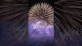 Mega Shell Explosion fireworks feuerwerk silvester [upl. by Drolet]