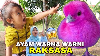 DEDE BAYI TAKUT AYAM WARNA WARNI RAKSASA  TELOR WARNA WARNI AJAIB  CHIKAKU FAMILY [upl. by Stanford]