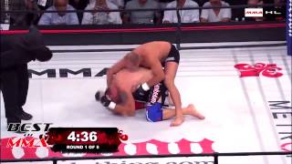 Fedor Emelianenko vs Tim Sylvia HL [upl. by Magda119]