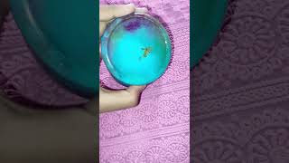 Resin DIY jar like diy creative art trending india viralvideo resinart gift subscribe [upl. by Leahci]