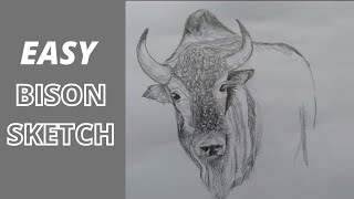 How To Draw Bison  Easy Bison Drawing  shots [upl. by Enetsirhc]