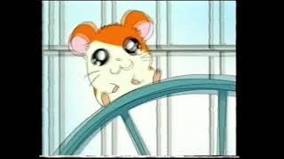 Hamtaro  Trailer [upl. by Irpak]