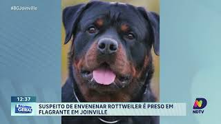 Suspeito de envenenar Rottweiler é preso em flagrante em joinville [upl. by Inol]