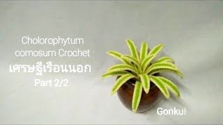 Crochet plant  Crochet Chlorophytum comosum spider plant PART 22 crochetflower crochetplant [upl. by Groos]