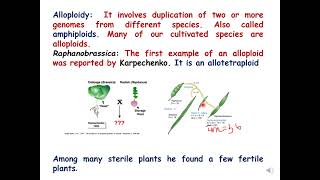 Examples of Euploidy GeneticsConceptsofgeneticsBiologyBotany [upl. by Levona]