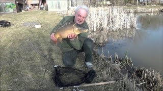 Karpfenangeln  FrühlingsKarpfen im Flachwasser [upl. by Hanleigh]