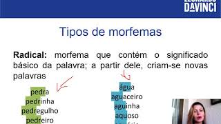 Morfologia tipos de morfema [upl. by Waylon]