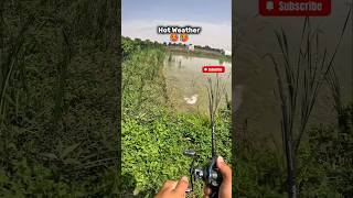 Casting fishing snakehead  Hot Weather 🥵🥵 fishing fishingtips angler fishingvideo mancing [upl. by Tillman510]