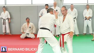 Bernard Bilicki  Karate Masterclass 2019 [upl. by Pattie]