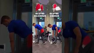 2 ways to exercise buttocks and thighs fitness weightloss gym workout fyp viralvideo [upl. by Yrallih]