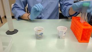 How to perform fecal exam  Sedimentation technique [upl. by Mary]