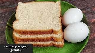 ബ്രെഡും മുട്ടയും മിക്സിയിൽ കറക്കി റെഡിയാക്കിയ പലഹാരം 🔥🔥 Easy snacks in malayalam  bread recipes [upl. by Gabriello]