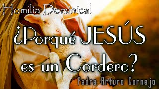 ¿Porque JESÚS es el Cordero de DIOS  Padre Arturo Cornejo [upl. by Bea916]