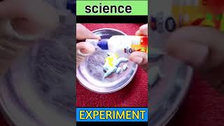 slime kaise banta hai l experiment shorts youtubeshorts slime [upl. by Acira919]