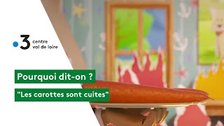 Pourquoi diton  quotles carottes sont cuitesquot [upl. by Faulkner285]