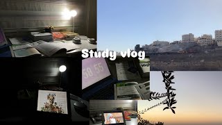 Diary of a high school student and waking up at 5 am 📚🩷 study video vlog [upl. by Eugirne935]