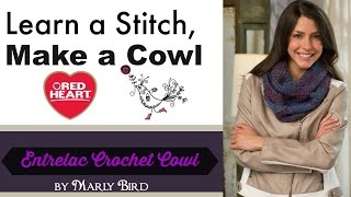 Learn How to Crochet the Entrelac Crochet Cowl in Red Heart Boutique Treasure Yarn [upl. by Bernard]