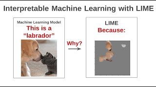 Interpretable Machine Learning for Image Classification with LIME  5 Min Tutorial with Python Code [upl. by Yorled]