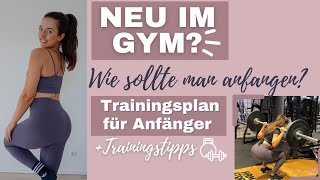 TRAININGSPLAN FÜR ANFÄNGER  Wie und mit welchen Übungen sollte man starten I BEGINNERS GUIDE [upl. by Tuchman48]