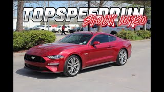 Mustang GT 10 speed AccelerationTOP SPEED Run 156mph2019stock [upl. by Eelimaj940]