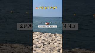 백수 74일차 나랑놀기 기록📝 역시 바다는 동해바다 🌊 [upl. by Eyde395]