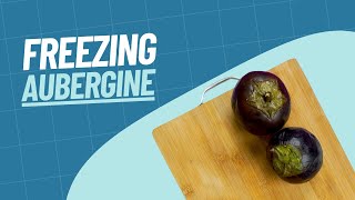 How to Freeze Aubergine  Our Guide to Freezing Aubergine [upl. by Esina]