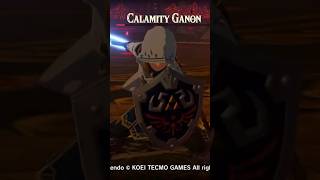 Hyrule Warriors Age of Calamity  Calamity Ganon Final Boss Battle zelda retrogaming nintendo [upl. by Luis669]