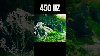 450 HZ Frequency [upl. by Anatollo892]