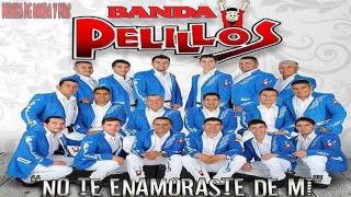 Banda Pelillos Algo Mas Grande Estreno 2014 [upl. by Enaelem]