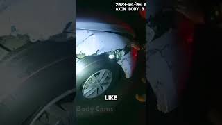 Driver Denies Everything After Crashing Into a House [upl. by Beatrice]