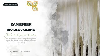 Ramie Fiber Bio Degumming [upl. by Suiravad]