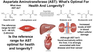 Aspartate Aminotransferase Whats Optimal And Can It Be Improved [upl. by Ellivnarg]