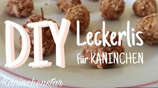 DIY Leckerlis für Kaninchen 🐇🍭  Kaninchenstar [upl. by Ididn757]