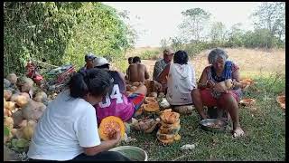 Manual Squash Deseeding farmlife [upl. by Marduk]