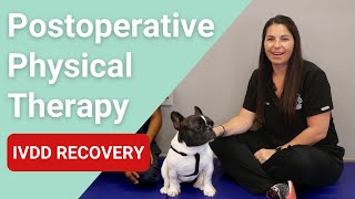 Postoperative Physical Therapy for dogs  IVDD Recovery [upl. by Idahs]