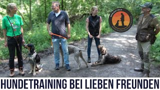 Gehorsam  Leinenführigkeit  Apportieren  Hundeschule UB [upl. by Sybila]