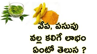 10 Amazing benfits of Neem and Turmeric  TELUGU  NH9 News [upl. by Godiva626]