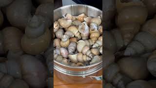 한국 제철 백골뱅이 삶는방법 요리 먹는 방법  How to cook and eat Korean whelks [upl. by Neerehs]