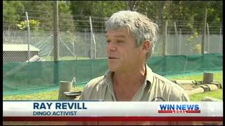 Fraser Island named most dangerous beach in world  WIN Wide Bay 19092012 [upl. by Eatnhoj]