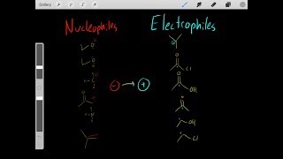 Understanding Nucleophile and Electrophile Reactivity Rules of Organic Chemistry [upl. by Aeresed]