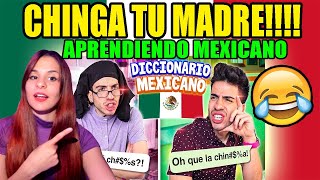 REACCIÓN a DICCIONARIO MEXICANO de GONZOK 😂  APRENDIENDO PALABRAS MEXICANAS 😂 [upl. by Hoj]