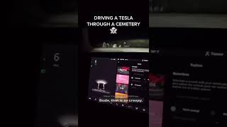 Tesla Vehicale Takes A Spooky Spin Through The Cemetery What you hear and see next will amaze you [upl. by Ellertal]